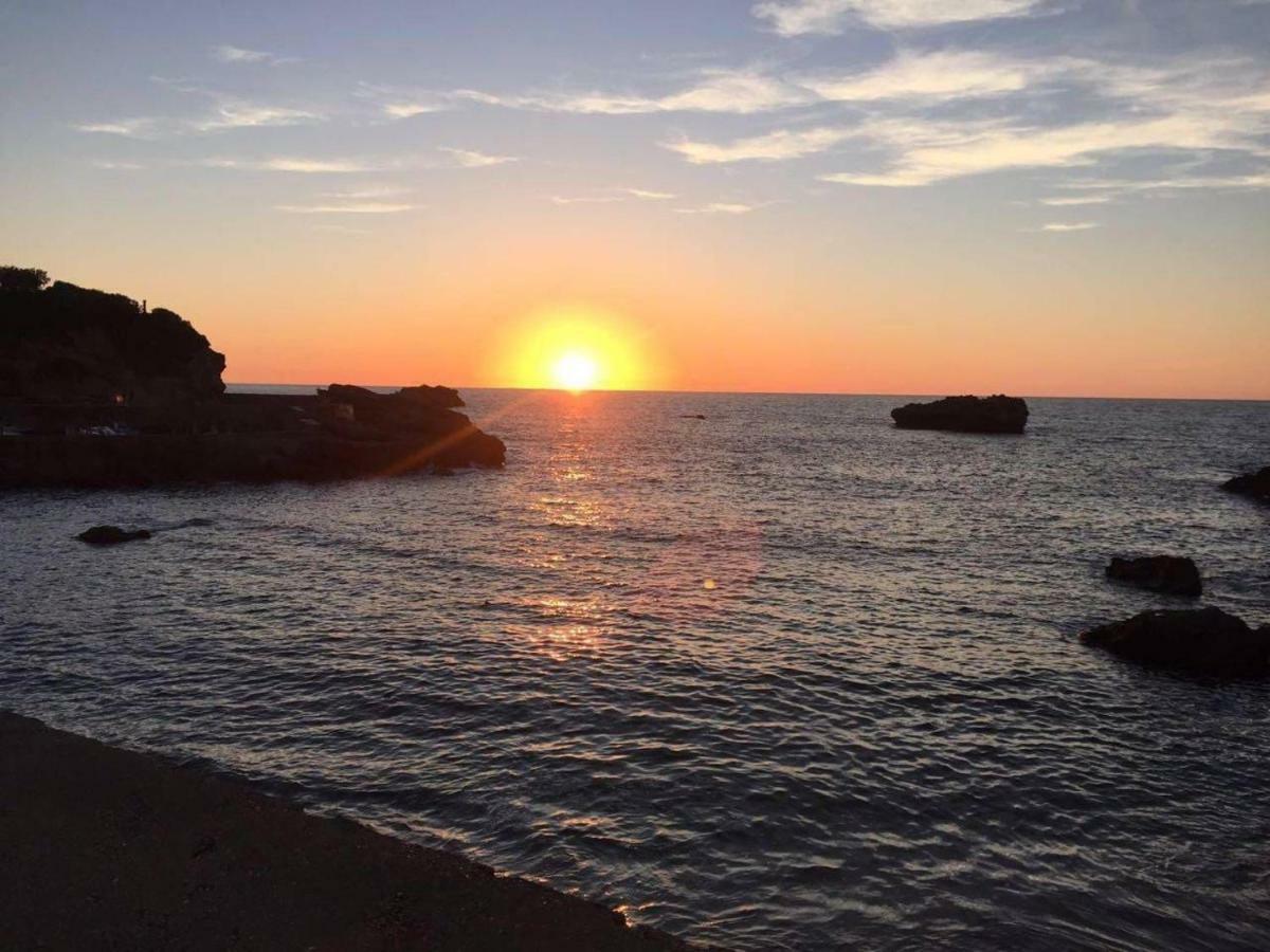 Petit Appartement Douillet Tres Bien Situe Biarritz Kültér fotó