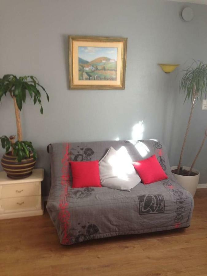 Petit Appartement Douillet Tres Bien Situe Biarritz Kültér fotó
